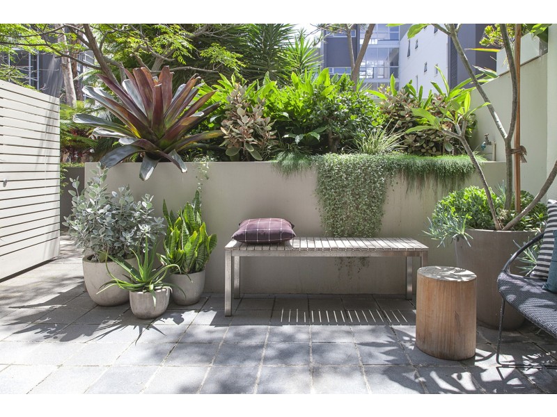 34/3 Victoria Park Parade, Zetland NSW 2017