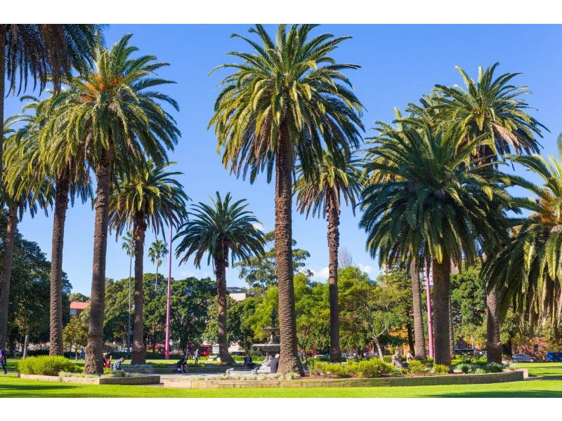 403/92 Cope Street, Waterloo NSW 2017