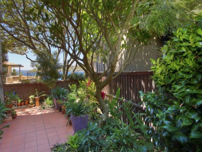 2/77 Fitzwilliam Road, Vaucluse NSW 2030