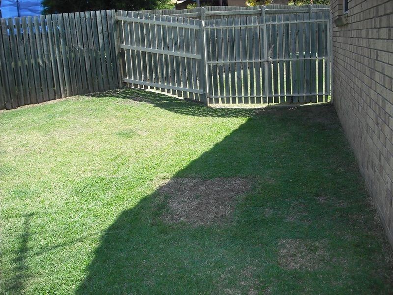 7 Wagtail Street, Flinders View QLD 4305