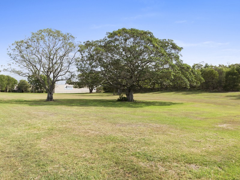 16 Wattle Street, Cannon Hill QLD 4170