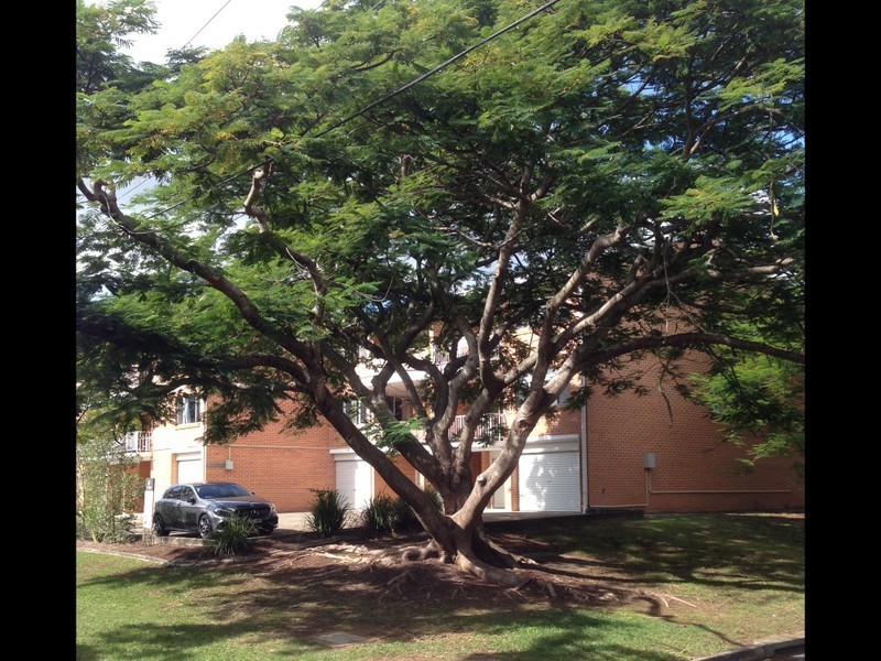 Unit 13/2 Brasted Street, Taringa QLD 4068