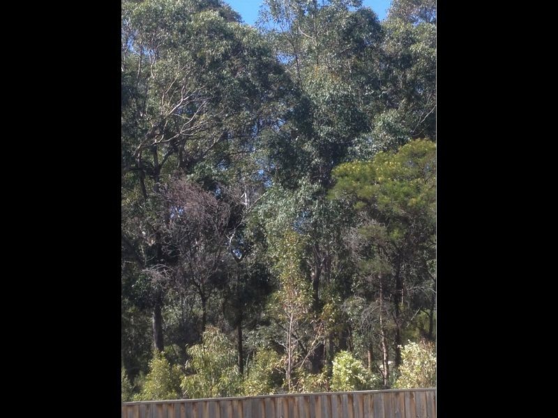 36/7 Hoyle Avenue, Castle Hill NSW 2154