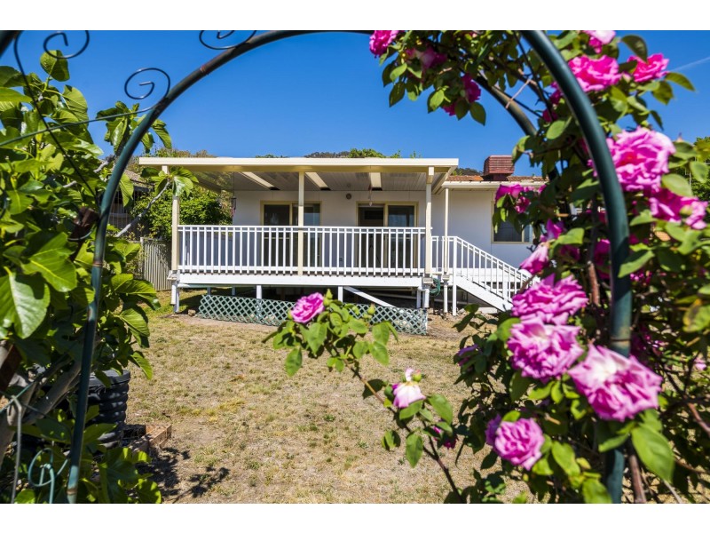 77 Beasley Street, Torrens ACT 2607