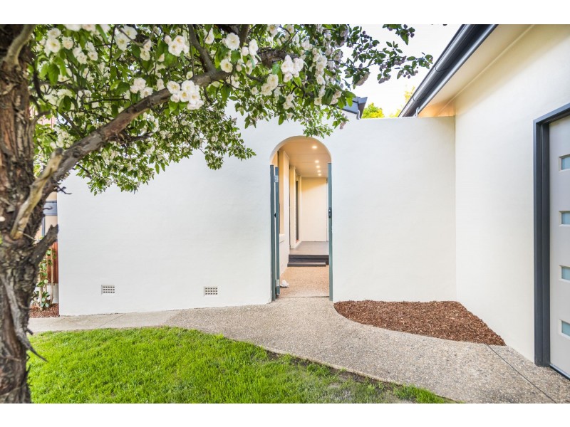41 Davidson Street, Higgins ACT 2615