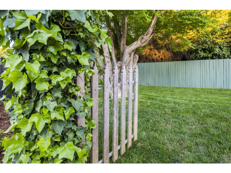 41 Davidson Street, Higgins ACT 2615