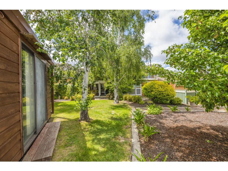 16 Dookie Street, Farrer ACT 2607