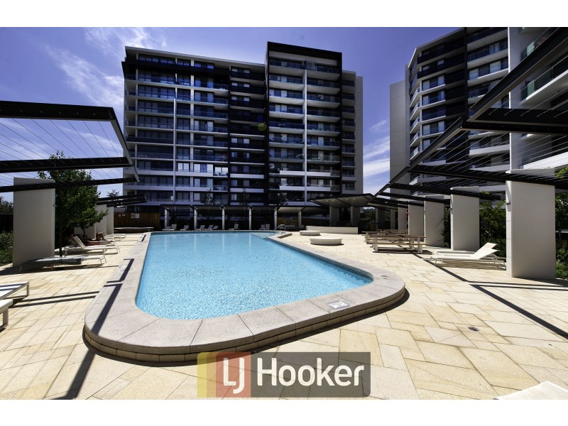 241/7 Irving Street, Phillip ACT 2606