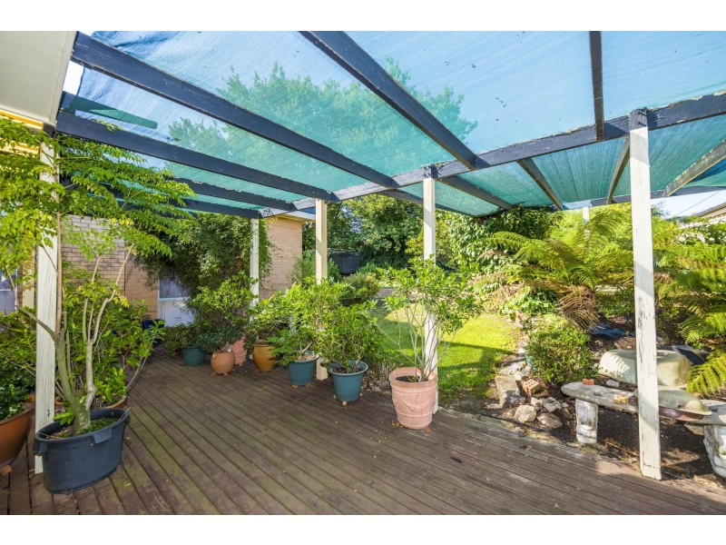126 Lambrigg Street, Farrer ACT 2607