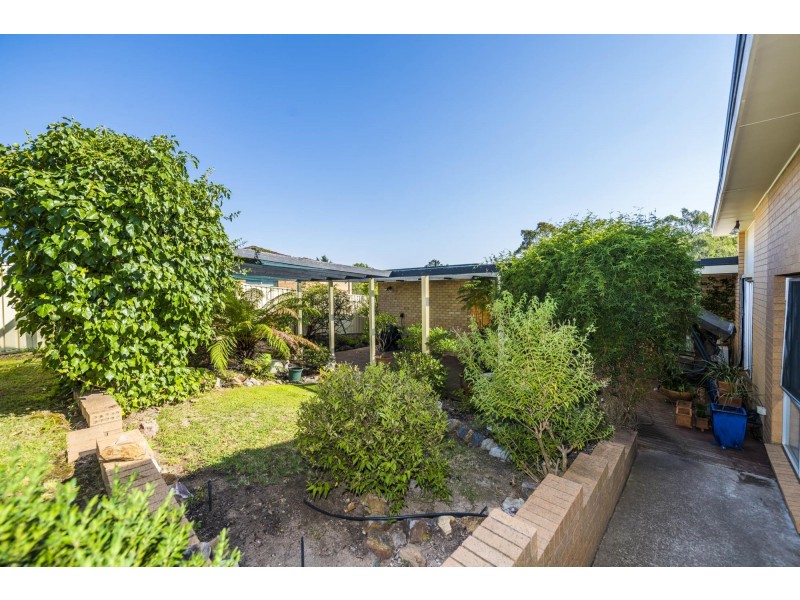 126 Lambrigg Street, Farrer ACT 2607