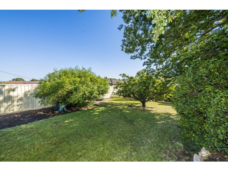 126 Lambrigg Street, Farrer ACT 2607