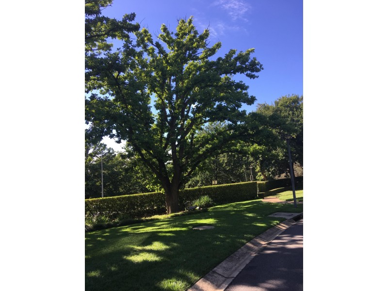14/5 Bowen Drive, Barton ACT 2600
