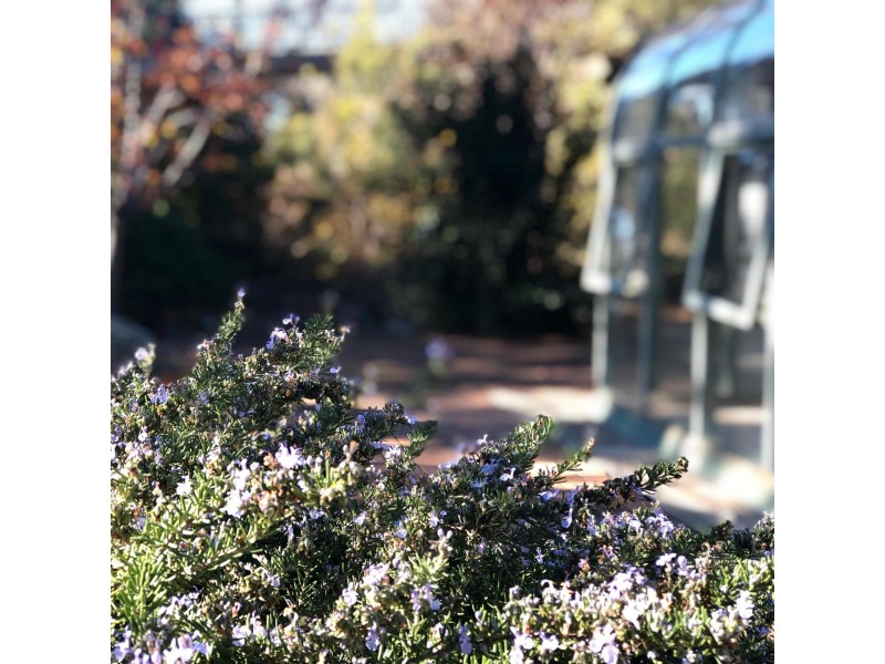 27A Cossington Smith Crescent, Lyneham ACT 2602