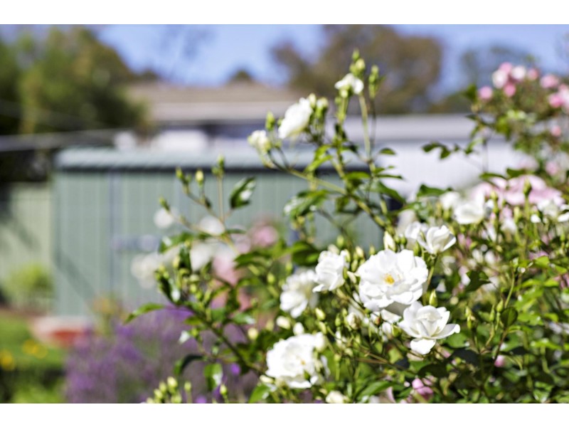 205B Badimara Street, Fisher ACT 2611