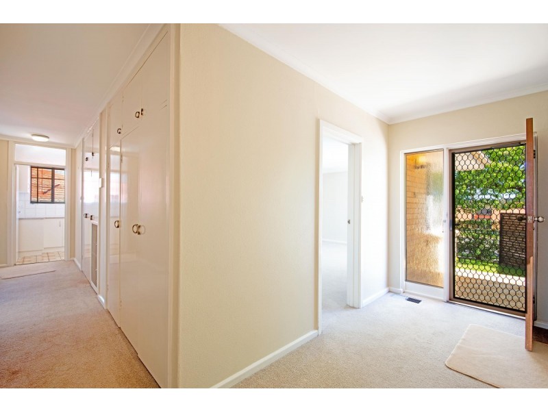 31 Theodore Street, Curtin ACT 2605