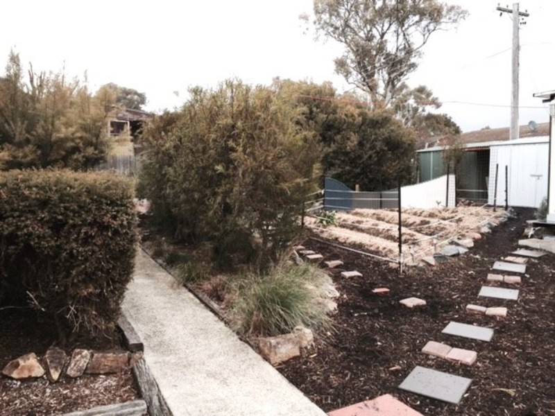 41 Luehmann Street, Page ACT 2614