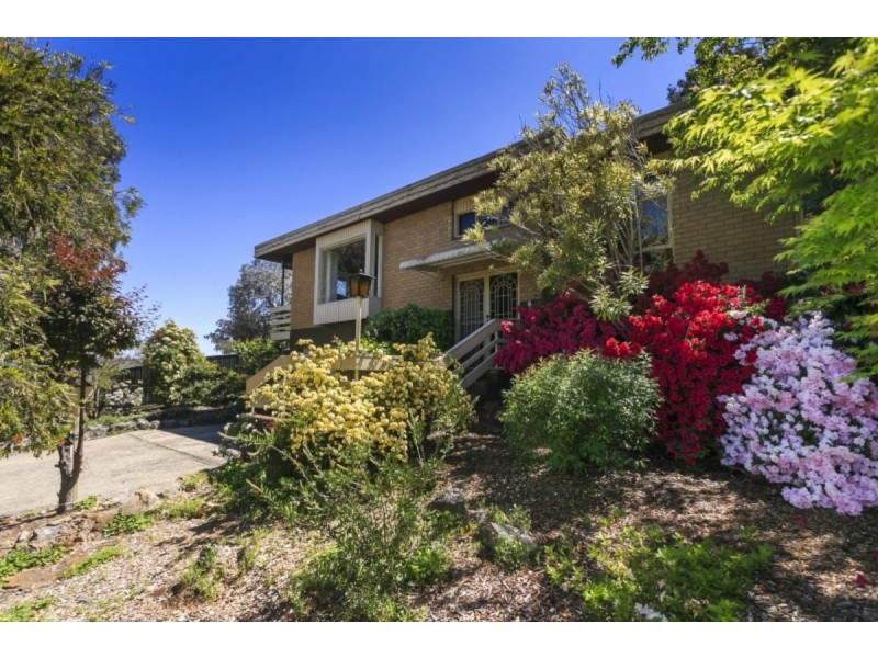 10 Johnson Place, Farrer ACT 2607