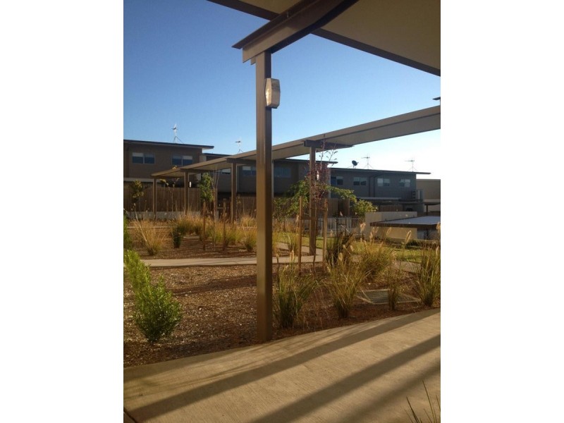 41/311 Flemington Road, Franklin ACT 2913