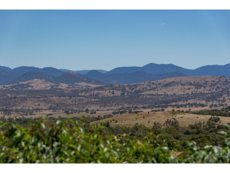 16 Tatchell Street, Calwell ACT 2905