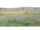 Betley Park 3/Lot 40 Stoney Creek Road, Marulan NSW 2579