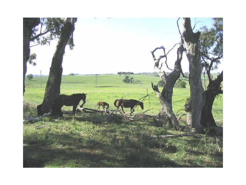 GLENGARRY/ Sally’s Corner Road, Exeter NSW 2579