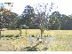 OAKLEIGH Stone Quarry Road, Exeter NSW 2579