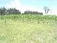 GREENACRES Hume Highway, Barrengarry NSW 2577