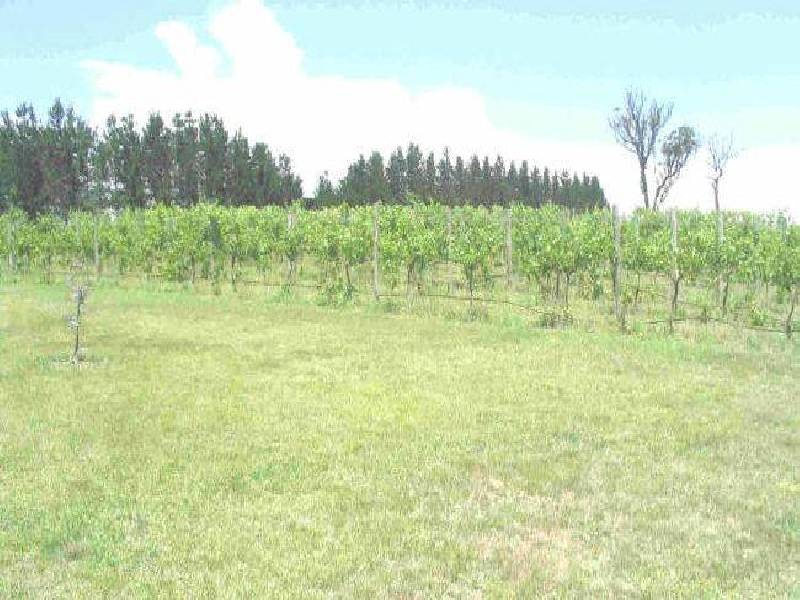 GREENACRES Hume Highway, Barrengarry NSW 2577