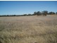 Lot 18 Maclura Drive, Marulan NSW 2579