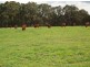NOONAMEENA/ Canyonleigh Road, Canyonleigh NSW 2577
