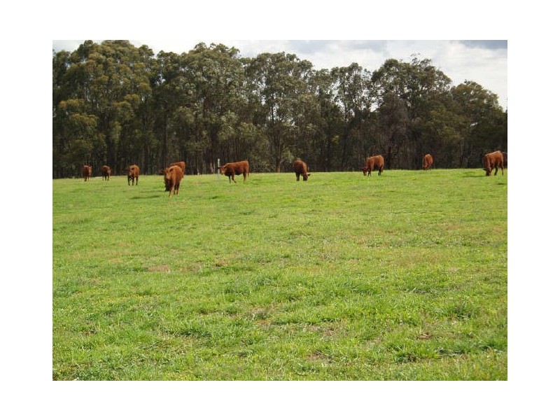 NOONAMEENA/ Canyonleigh Road, Canyonleigh NSW 2577
