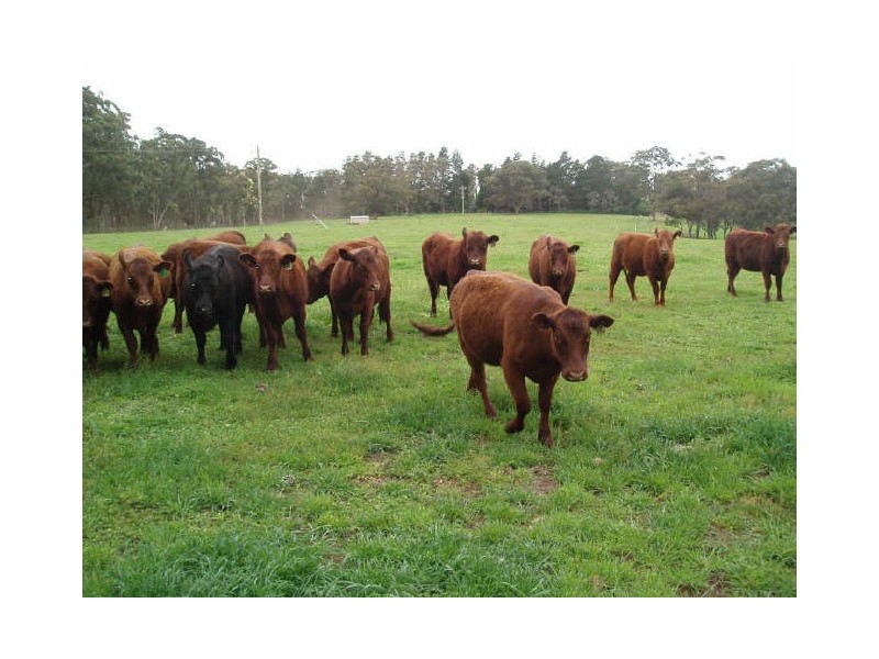 NOONAMEENA/ Canyonleigh Road, Canyonleigh NSW 2577