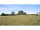 Exeter NSW 2579