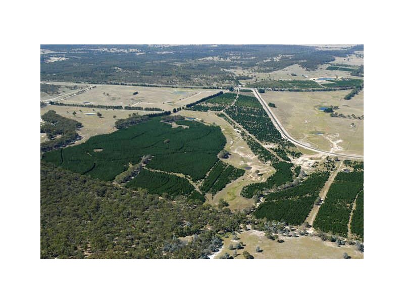 Hume Highway, Narranbulla Est., Marulan NSW 2579