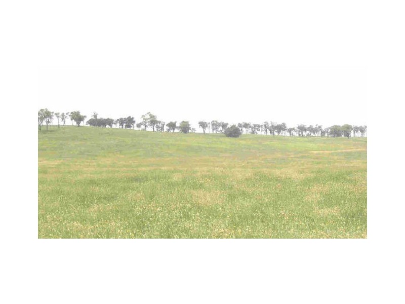 CARLISLE DOWNS/ Hume Highway, Sutton Forest NSW 2577