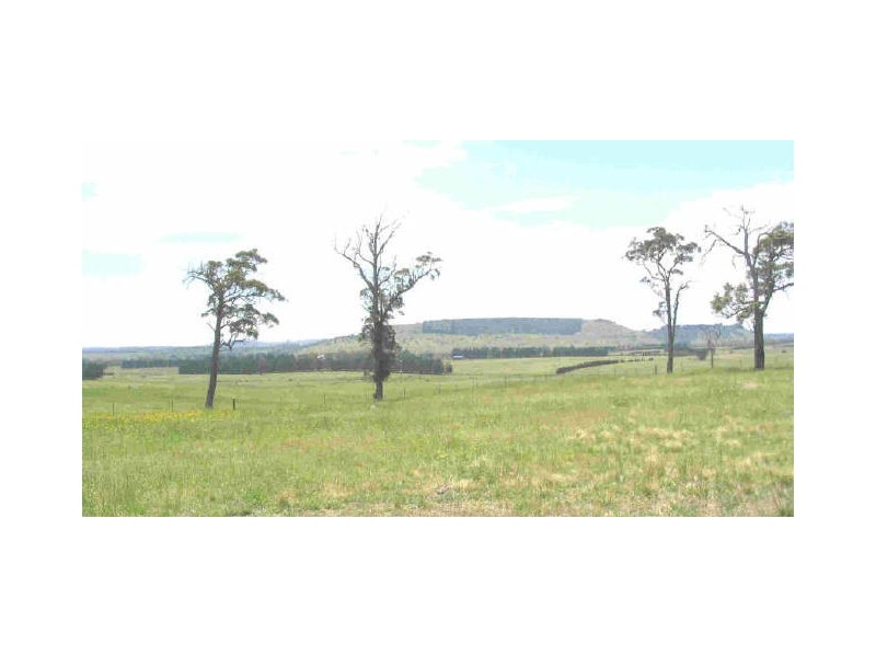 CARLISLE DOWNS/ Hume Highway, Sutton Forest NSW 2577