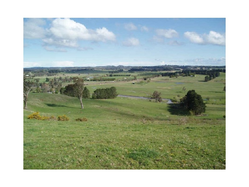 THE MINNOWS/ Railway Parade, Burradoo NSW 2576