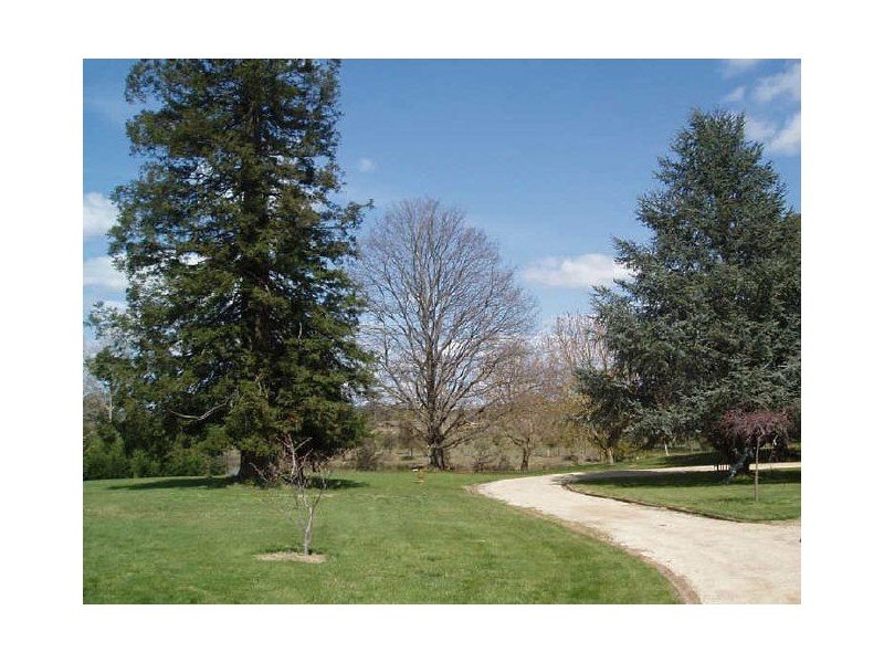 THE MINNOWS/ Railway Parade, Burradoo NSW 2576