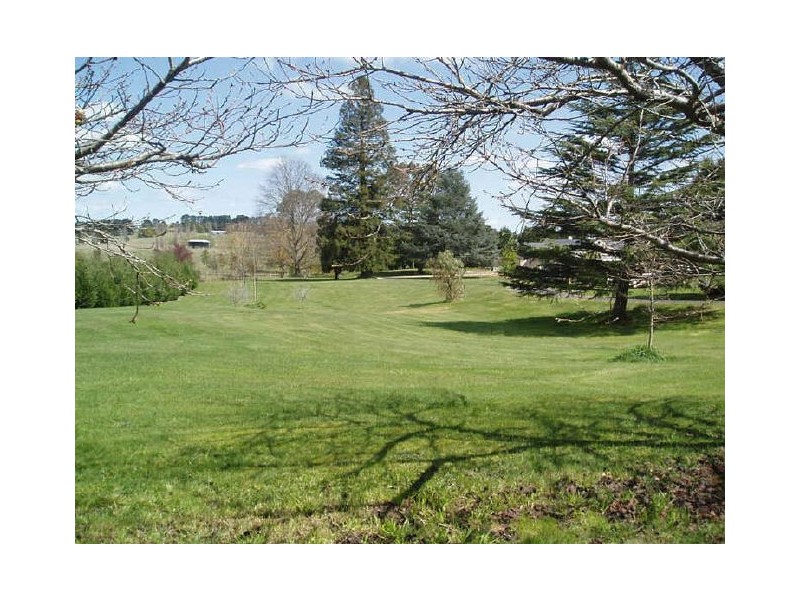 THE MINNOWS/ Railway Parade, Burradoo NSW 2576