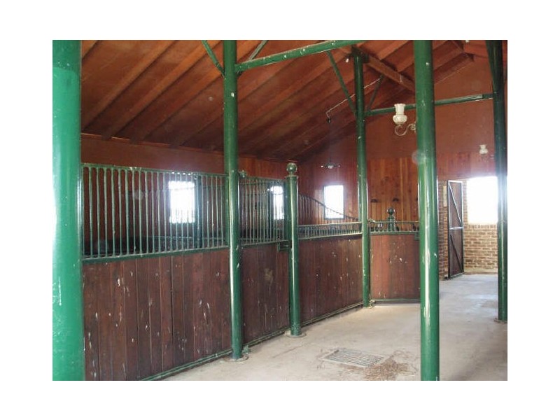 THE MINNOWS/ Railway Parade, Burradoo NSW 2576