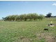 Moss Vale NSW 2577