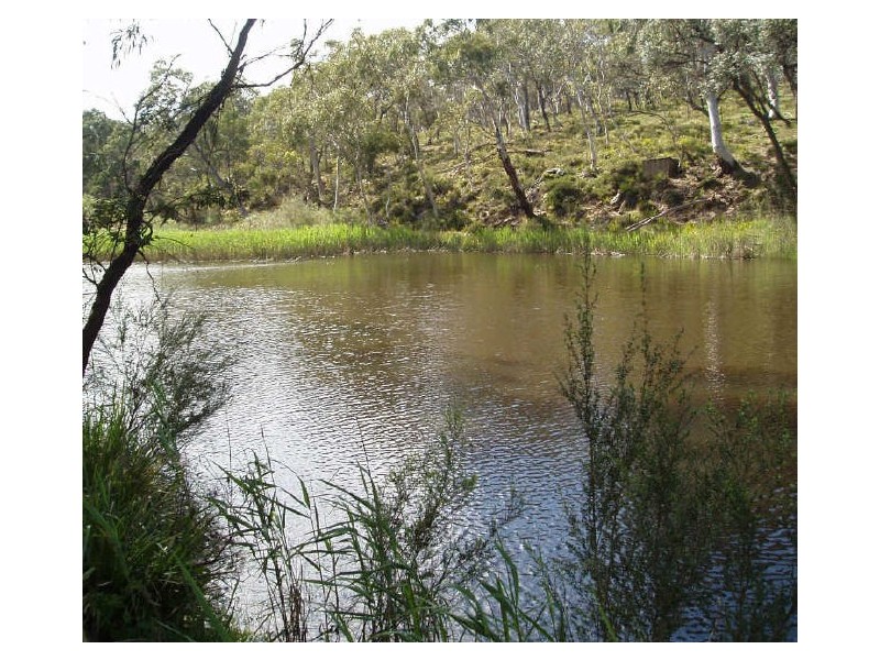 Paddys River NSW 2577