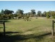 Lot 11 Tugalong Road, Canyonleigh NSW 2577