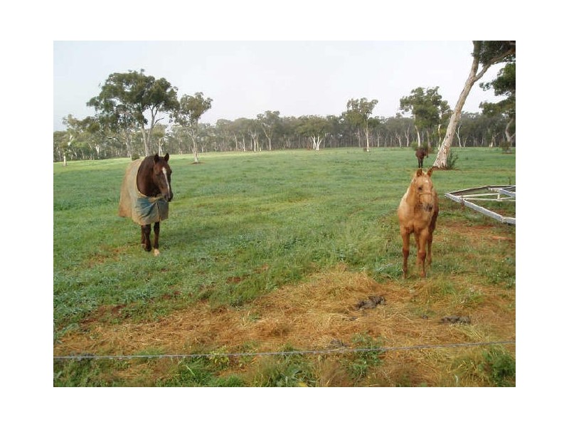 Lot 7 Birchforest Place, Berrima NSW 2577