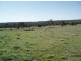 Murphys Farm/Lot 1 Hume Highway, Marulan NSW 2579