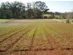 Lot 2 Belmore Falls Road, Wildes Meadow NSW 2577