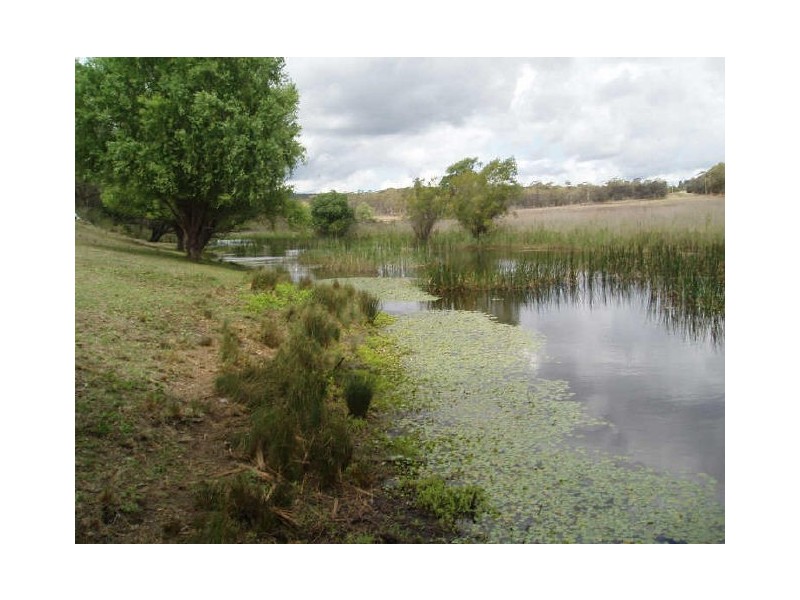 KAREENA/ Inverary Road, Paddys River NSW 2577