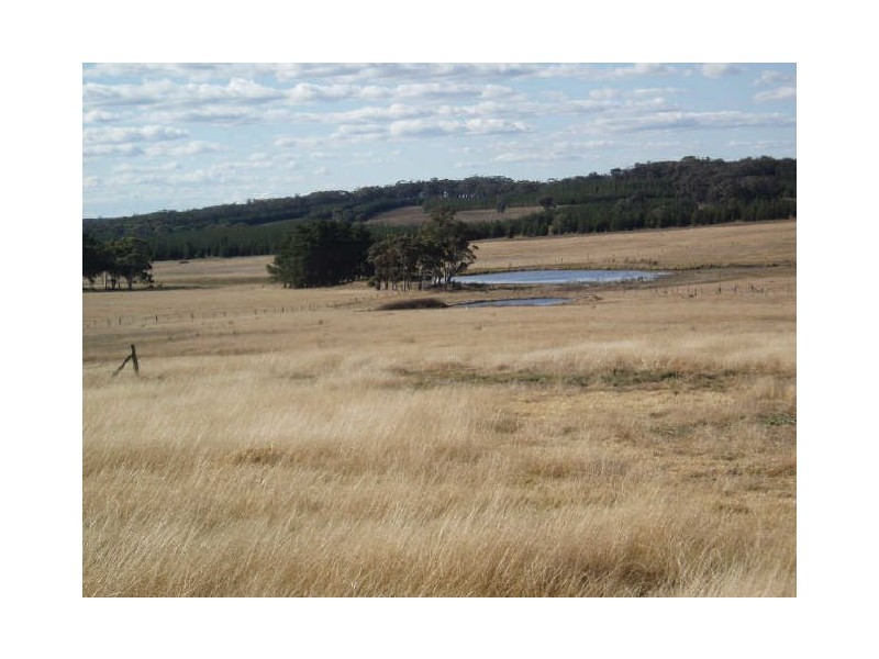 IMLAY PARK/16198 Hume Highway, Marulan NSW 2579