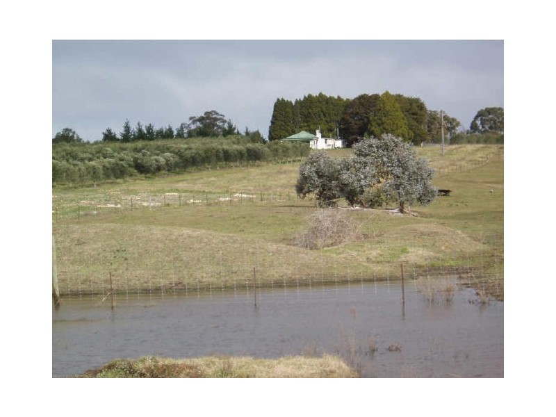 Redhill Olive Farm/ Hume Highway, Marulan NSW 2579