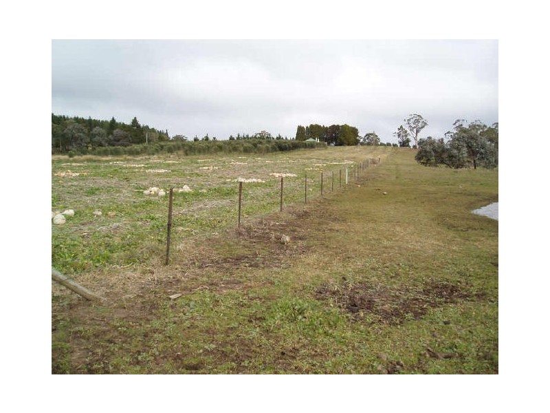 Redhill Olive Farm/ Hume Highway, Marulan NSW 2579